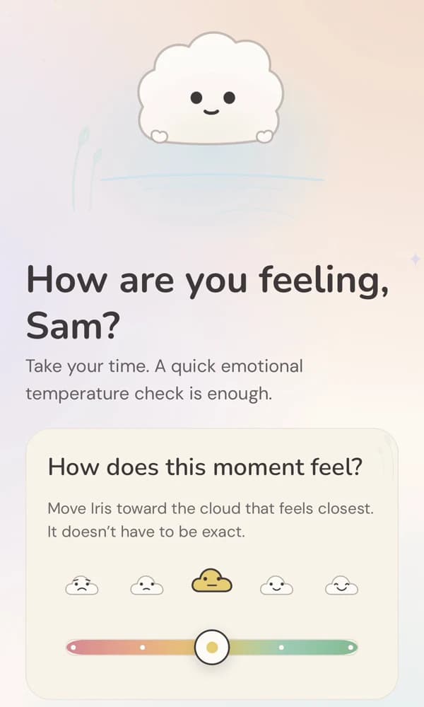 Official Iris website preview of a sample emotional check-in with its cloud character